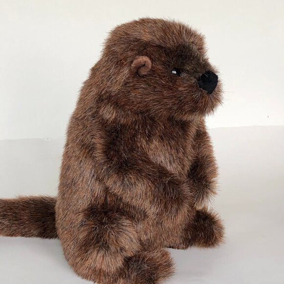 Douglas Plush New w/ Tag Groundhog Chuckwood Wild Stuffed Animal 11" - Picture 5 of 10